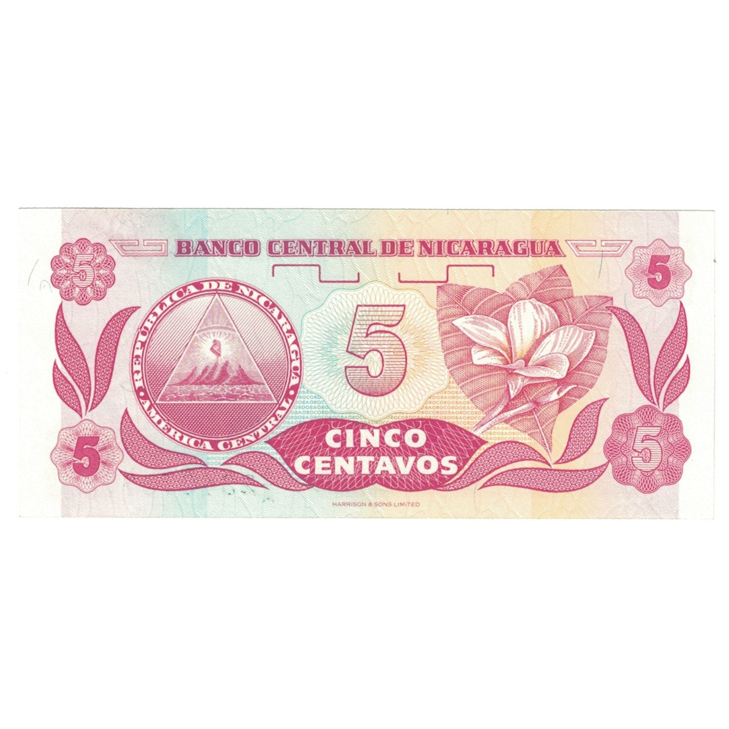 Billet, Nicaragua, 5 Centavos, Undated (1991), KM:168, NEUF