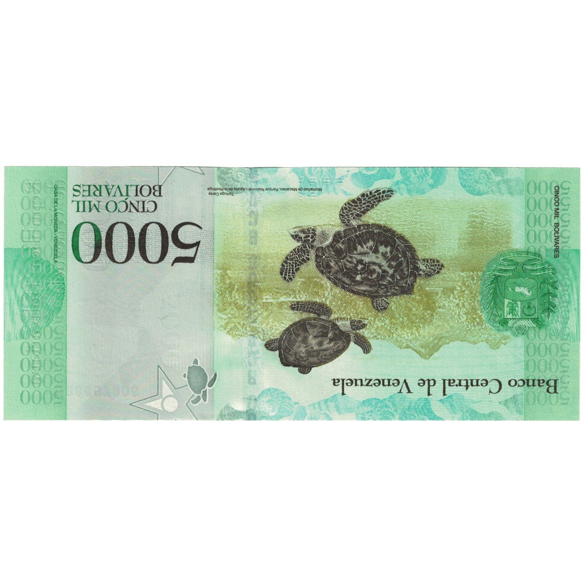 Billet, Venezuela, 5000 Bolivares, 2017, 2017-03-23, NEUF