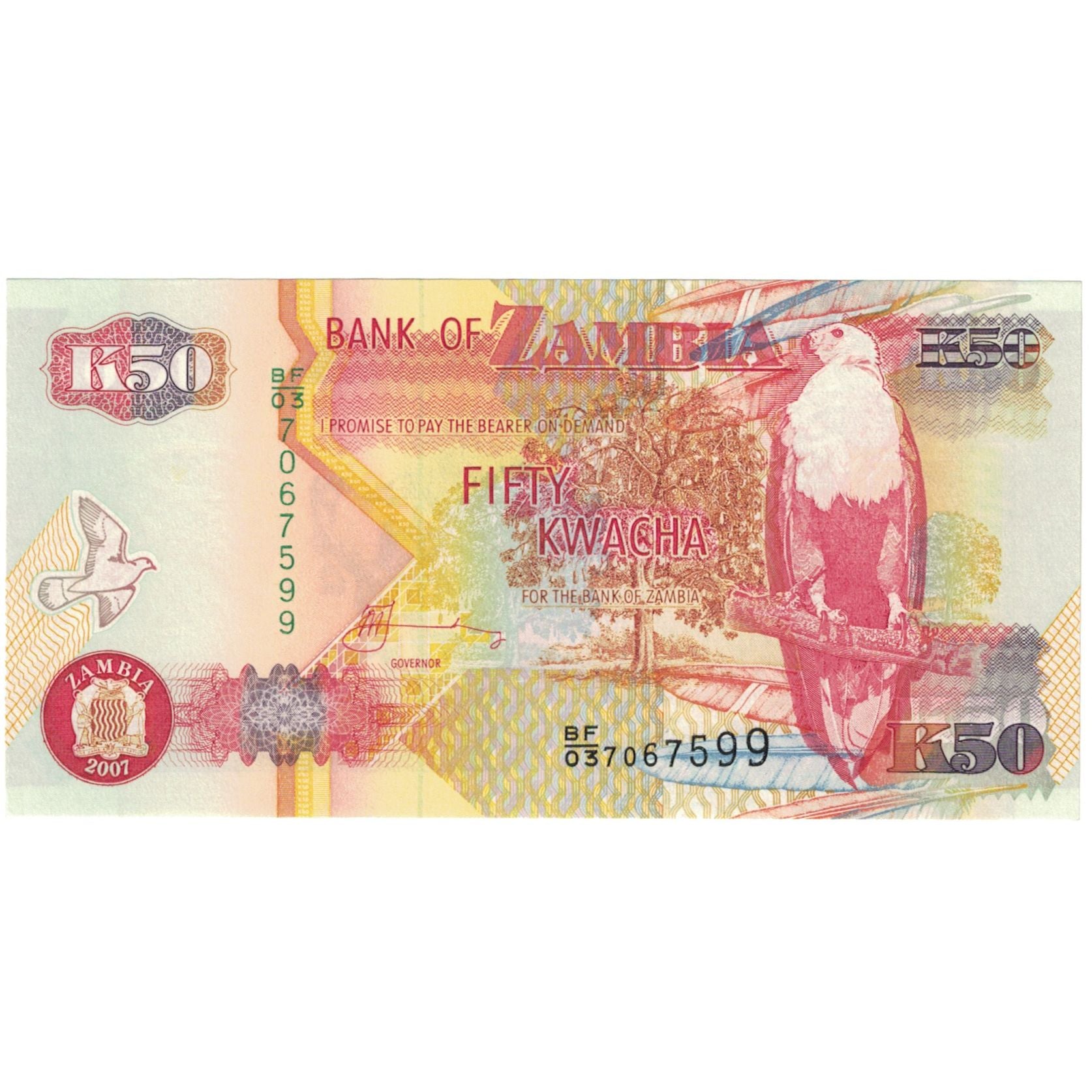 Biljet, Zambia, 50 Kwacha, 2007, NIEUW
