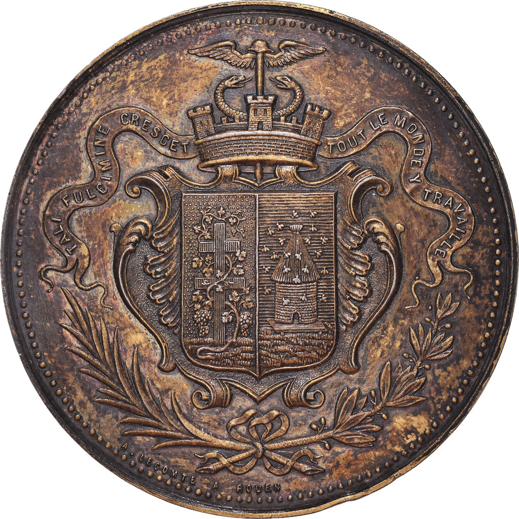 France, Medal, Société Industrielle d'Elbeuf, Seine Inférieure, 1878