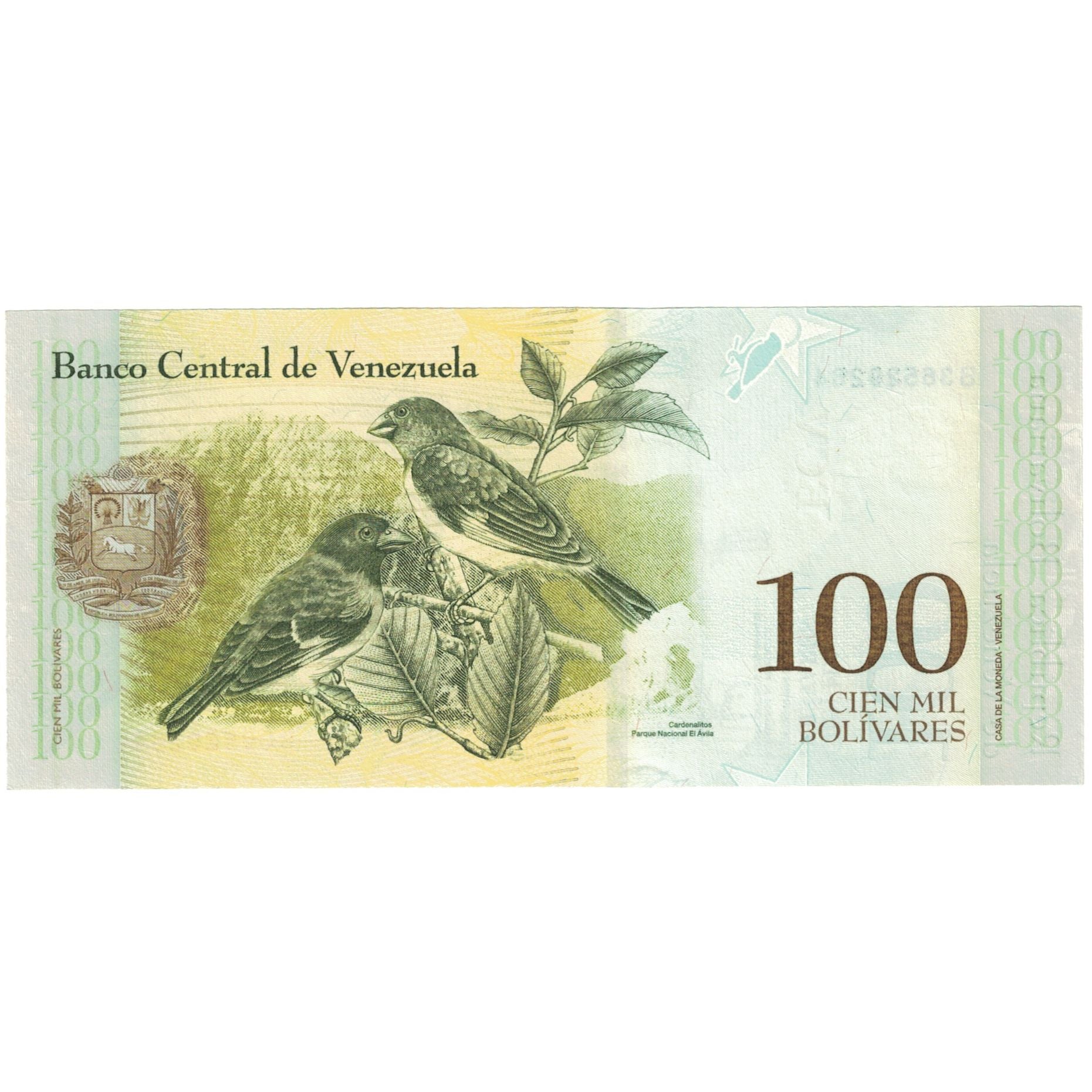 Billete, 100 Bolivares, 2017, Venezuela, 2017-12-13, KM:New, UNC