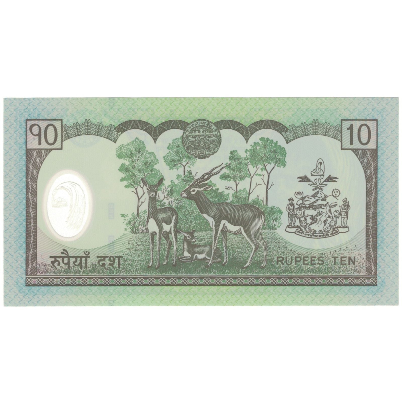 Banconote, Nepal, 10 Rupees, KM:54, FDS
