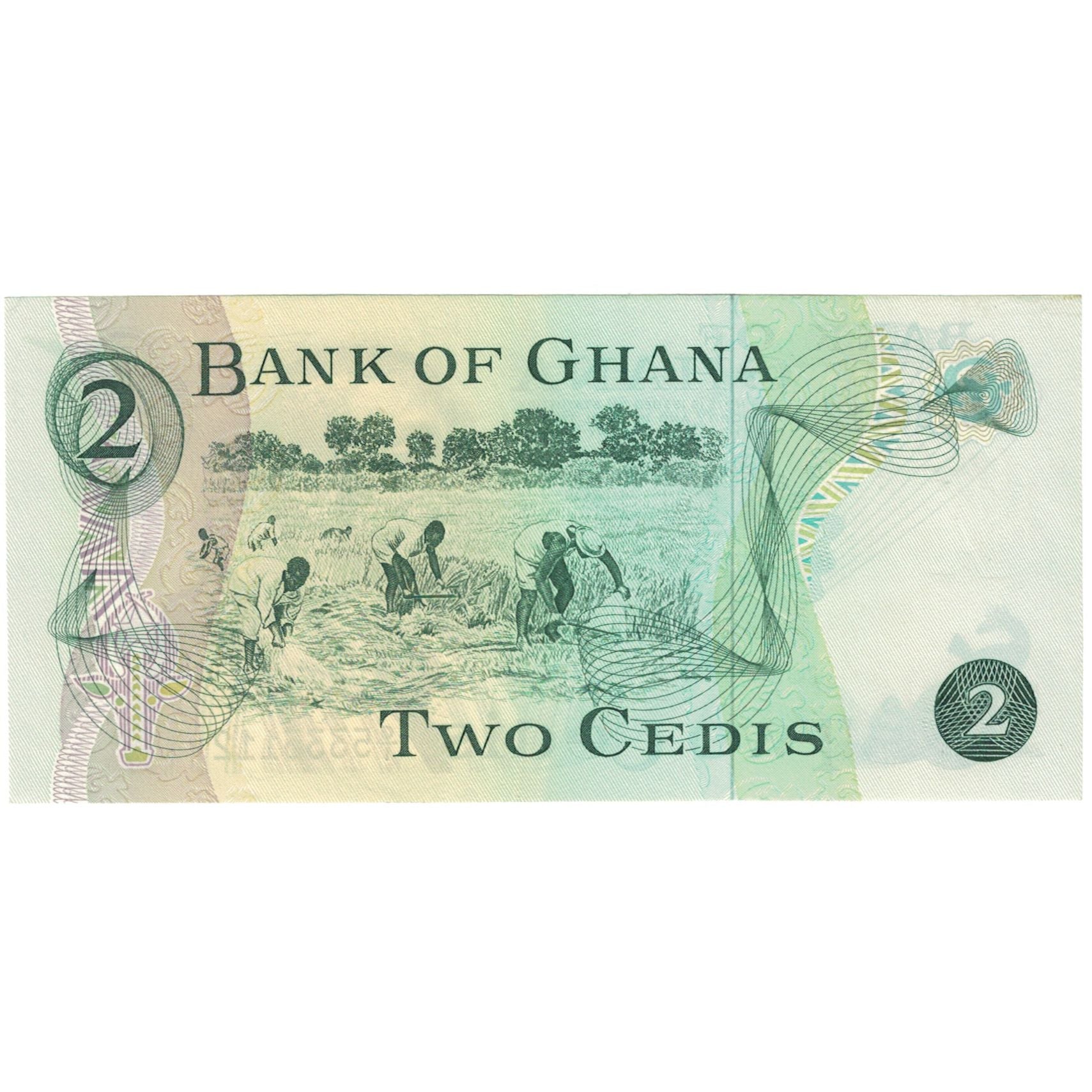 Banknot, Ghana, 2 Cedis, 1977, 1977-01-02, KM:14c, UNC(65-70)