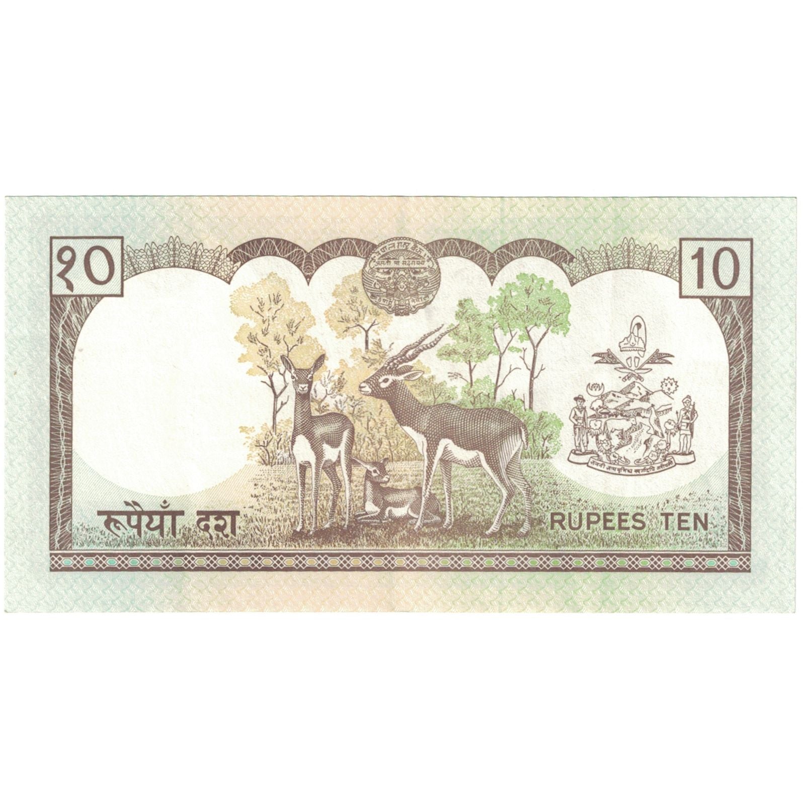 Billete, 10 Rupees, Nepal, KM:31a, EBC