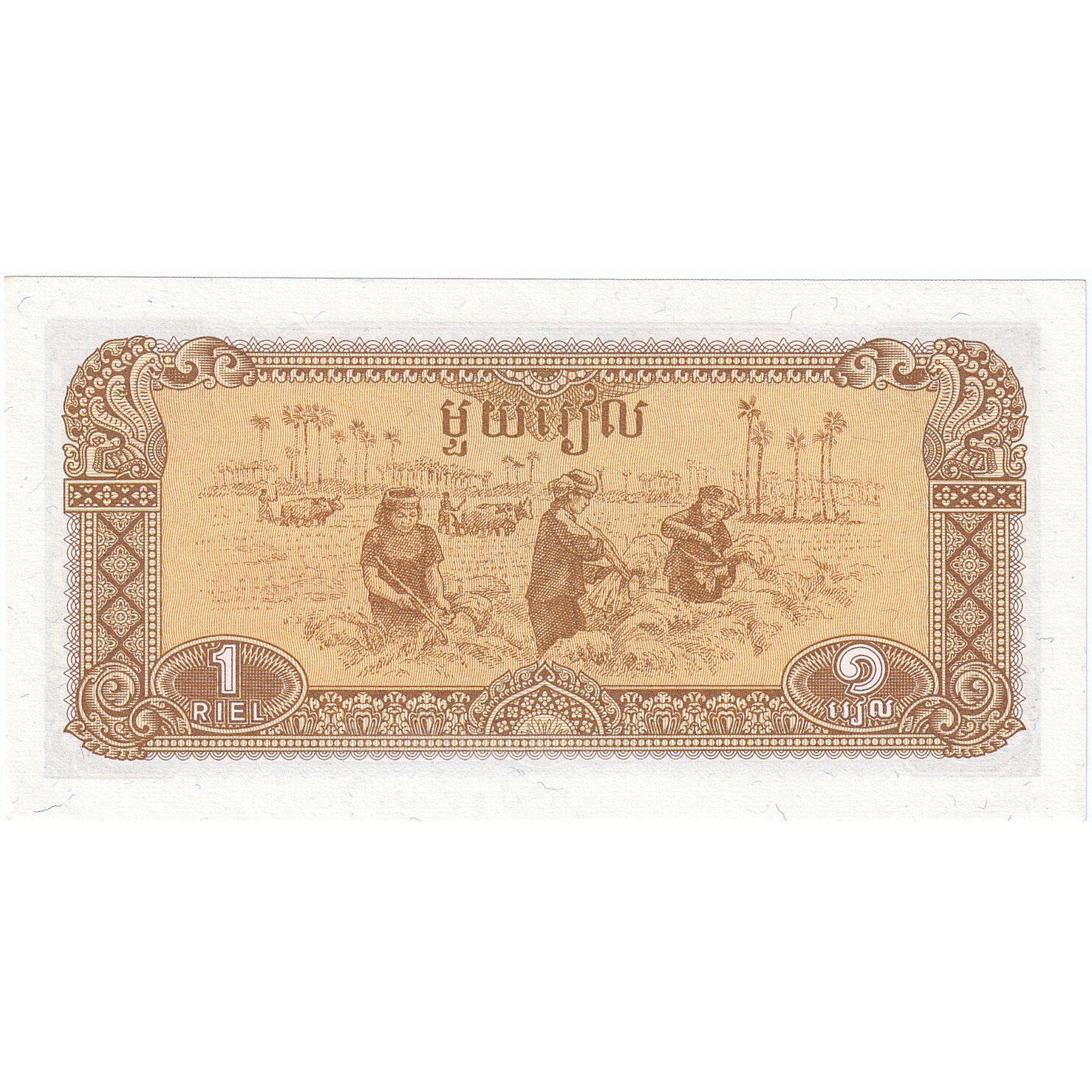 1 Riel, 1979, Camboya, KM:28a, UNC