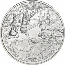 Slowakije, 20 Euro, Proof, 2021, Zilver, UNC-
