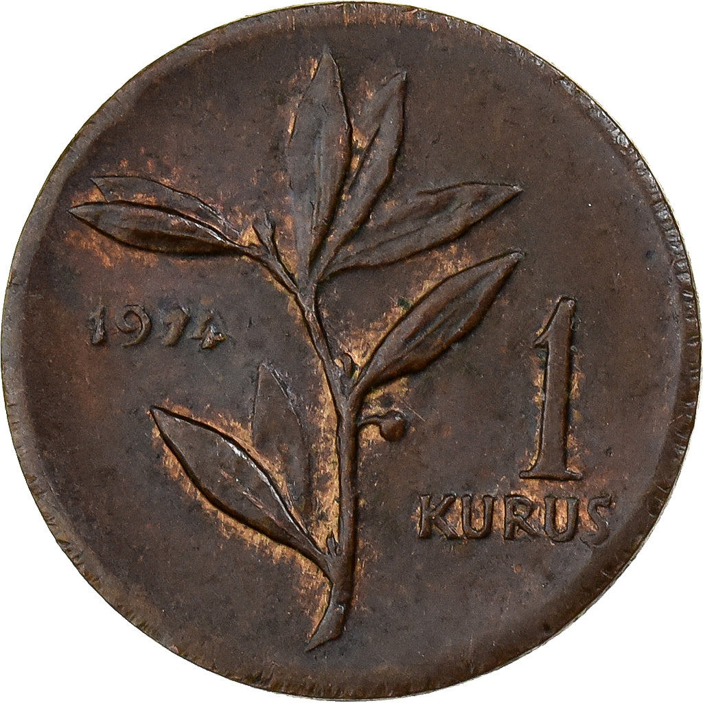 Turchia, Kurus, 1974, Istanbul, Bronzo, BB, KM:895a