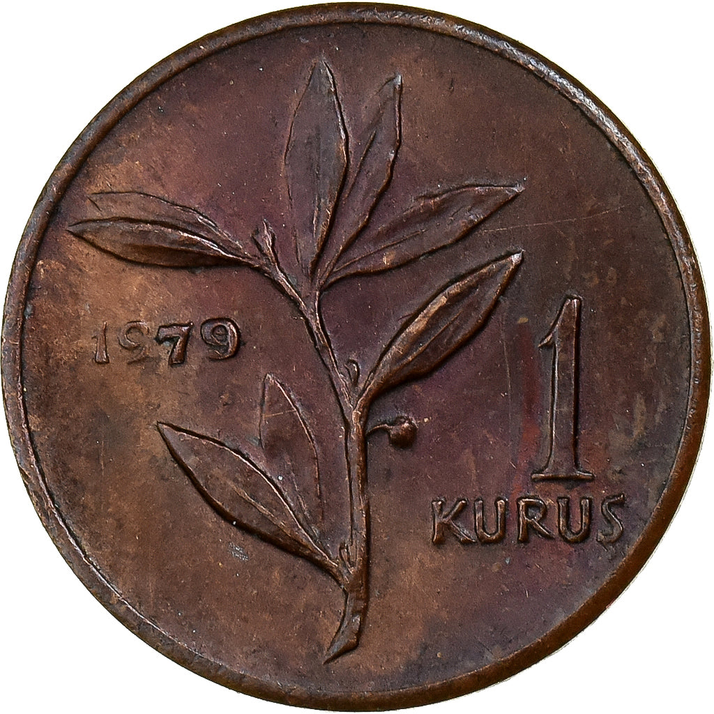 Turkey, Kurus, 1979, Istanbul, Bronze, EF(40-45), KM:924