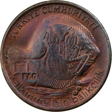 Turkey, 5 Kurus, 1980, Istanbul, Bronze, EF(40-45), KM:934