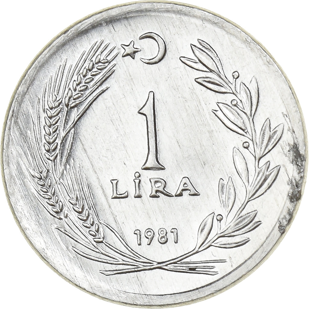 Turkije, Lira, 1981, Istanbul, Aluminium, PR, KM:943