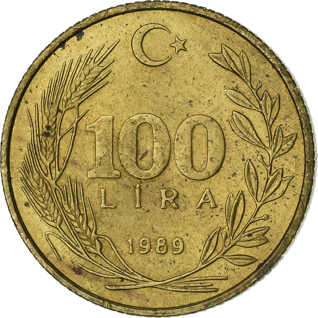 Turquia, 100 Lira, 1989, Alumínio-Bronze, AU(50-53), KM:988