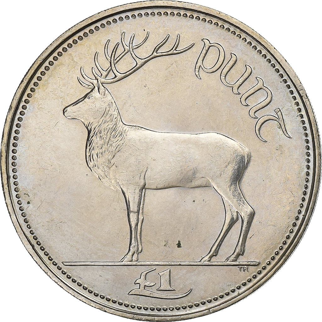 Ireland, Punt, Pound, 1990, Copper-nickel, AU(55-58), KM:27