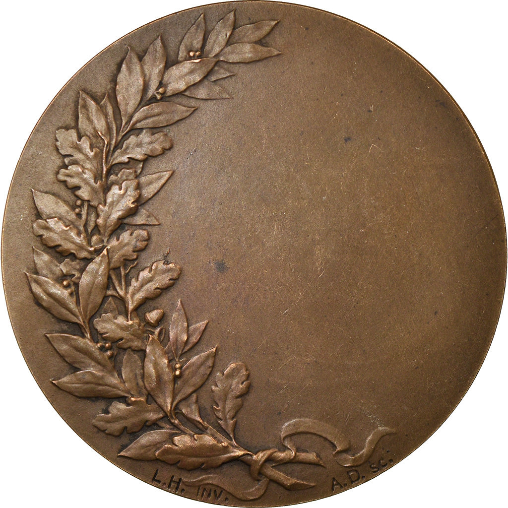 Frankrijk, Medaille, Ville de Lille, Hodebert, PR+, Bronze