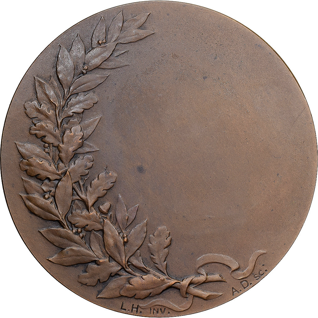 France, Medal, Ville de Lille, Hodebert, MS(60-62), Bronze