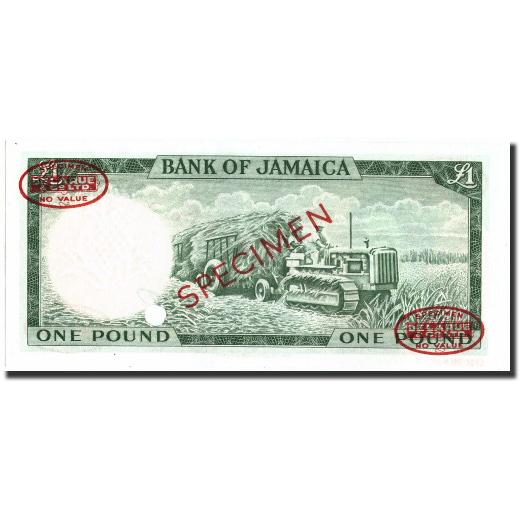 Jamaica, 1 Pound, 1961, Specimen, UNC 64, PMG