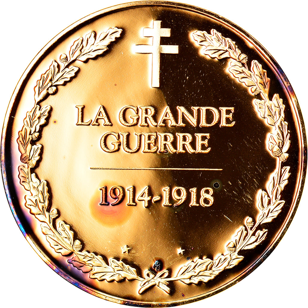 France, Medal, La grande guerre, 1914-1918, Politics, Society, War, MS(63)