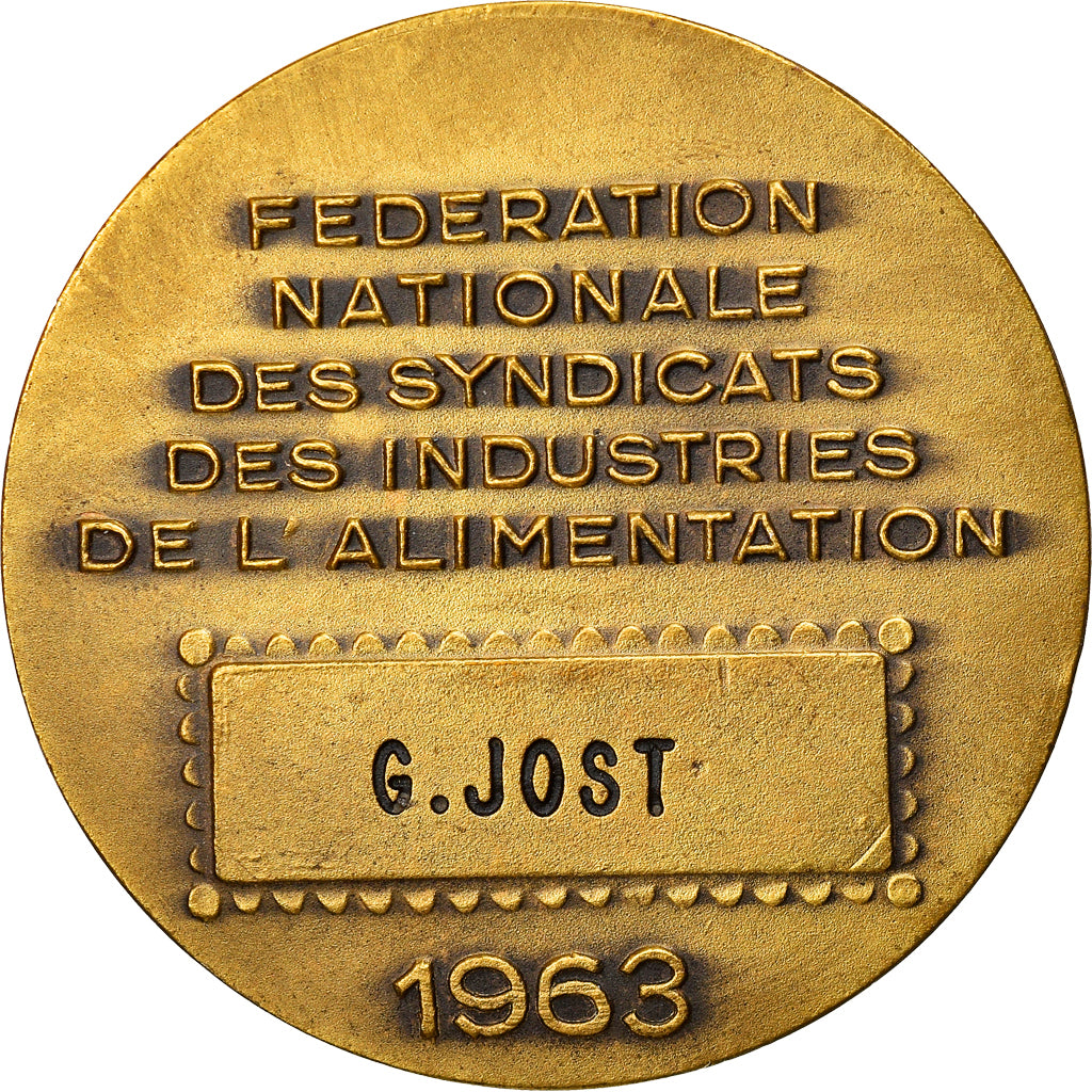 France, Médaille, Fédération Nationale des Syndicats des Industries de