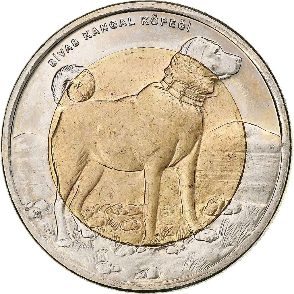 Coin, Turkey, Lira, 2010, MS(63), Bi-Metallic, KM:1280