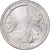 Stati Uniti, Quarter, 2010, U.S. Mint, Rame ricoperto in rame-nichel, SPL