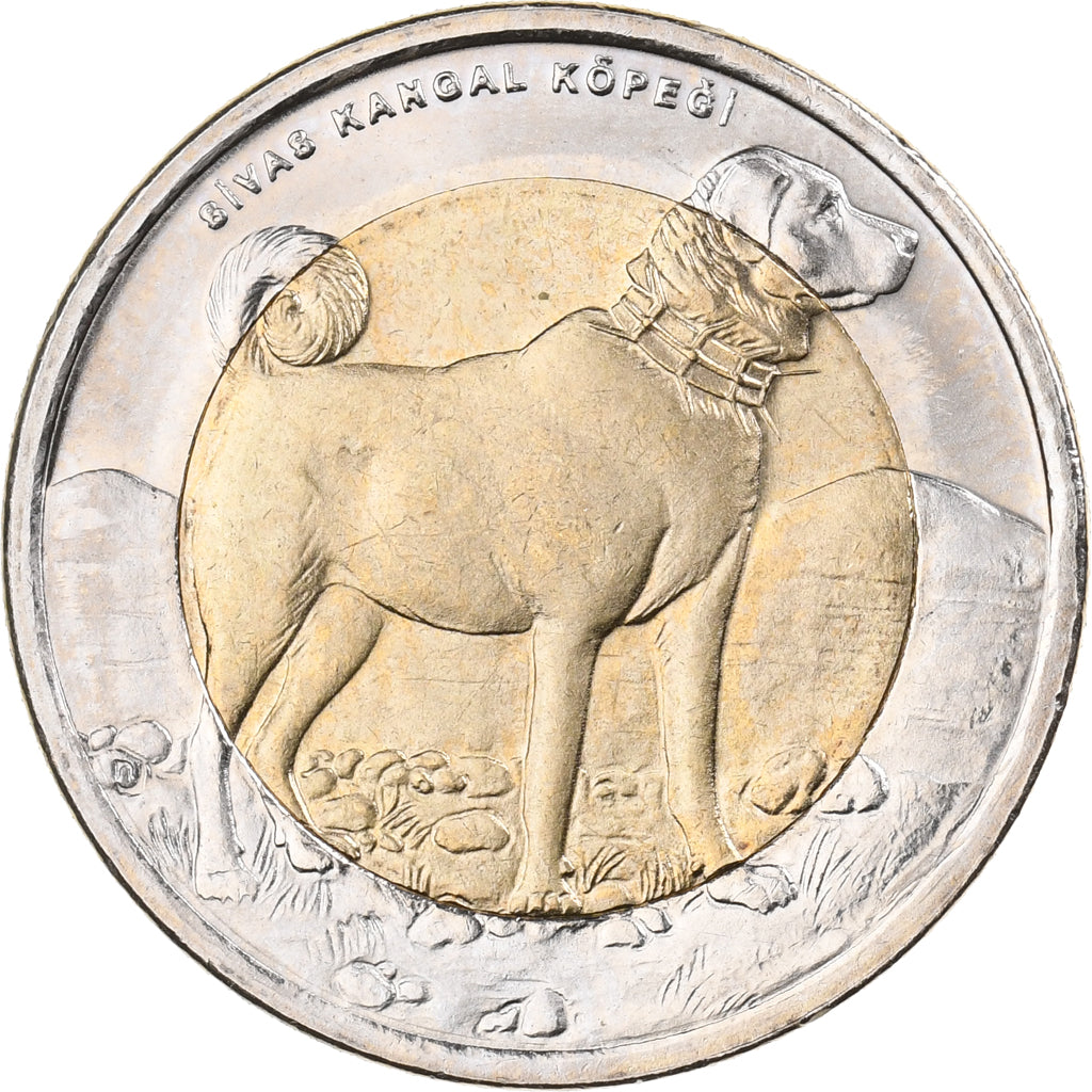 Türkei, Lira, 2010, Bi-Metallic, UNZ, KM:1280