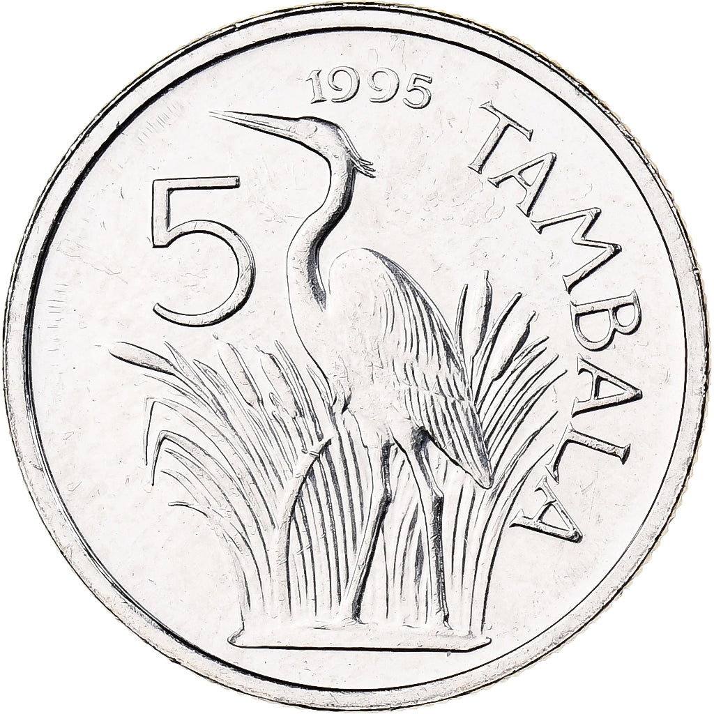 Malawi, 5 Tambala, 1995, Nickel plated steel, MS(63), KM:26