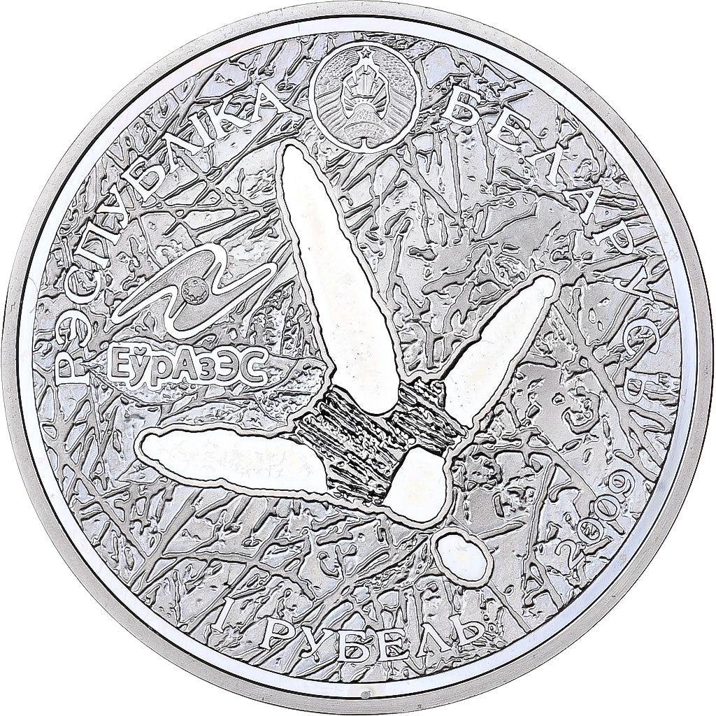 Bielorrússia, 20 Roubles, 2009, Prata, MS(63), KM:201