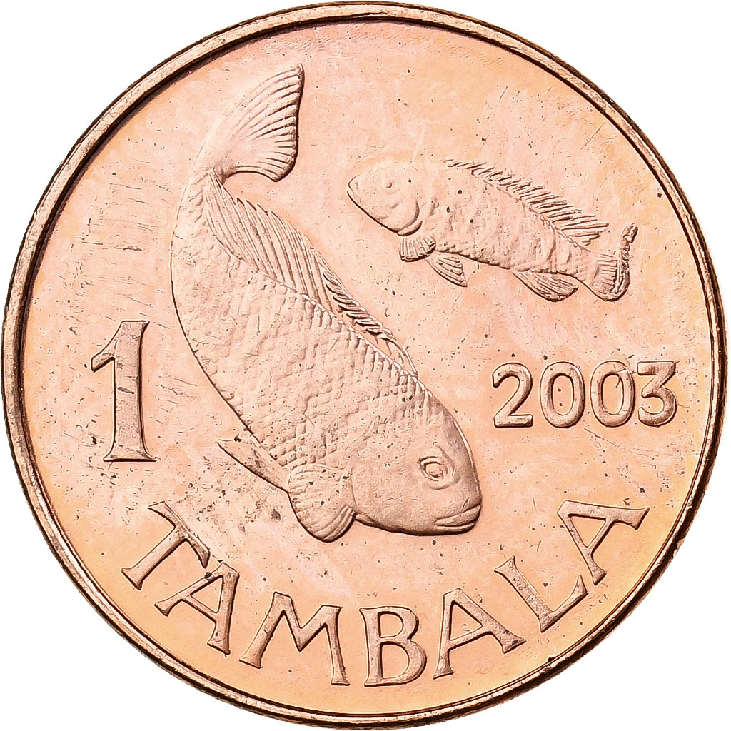 Maláui, Tambala, 2003, Aço Cromado a Cobre, MS(63), KM:33a