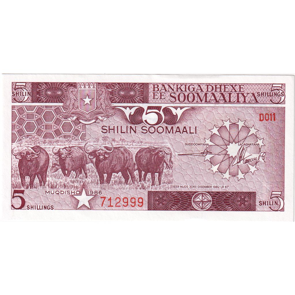 Somalie, 5 Shilin = 5 Shillings, 1982-12-30, NEUF