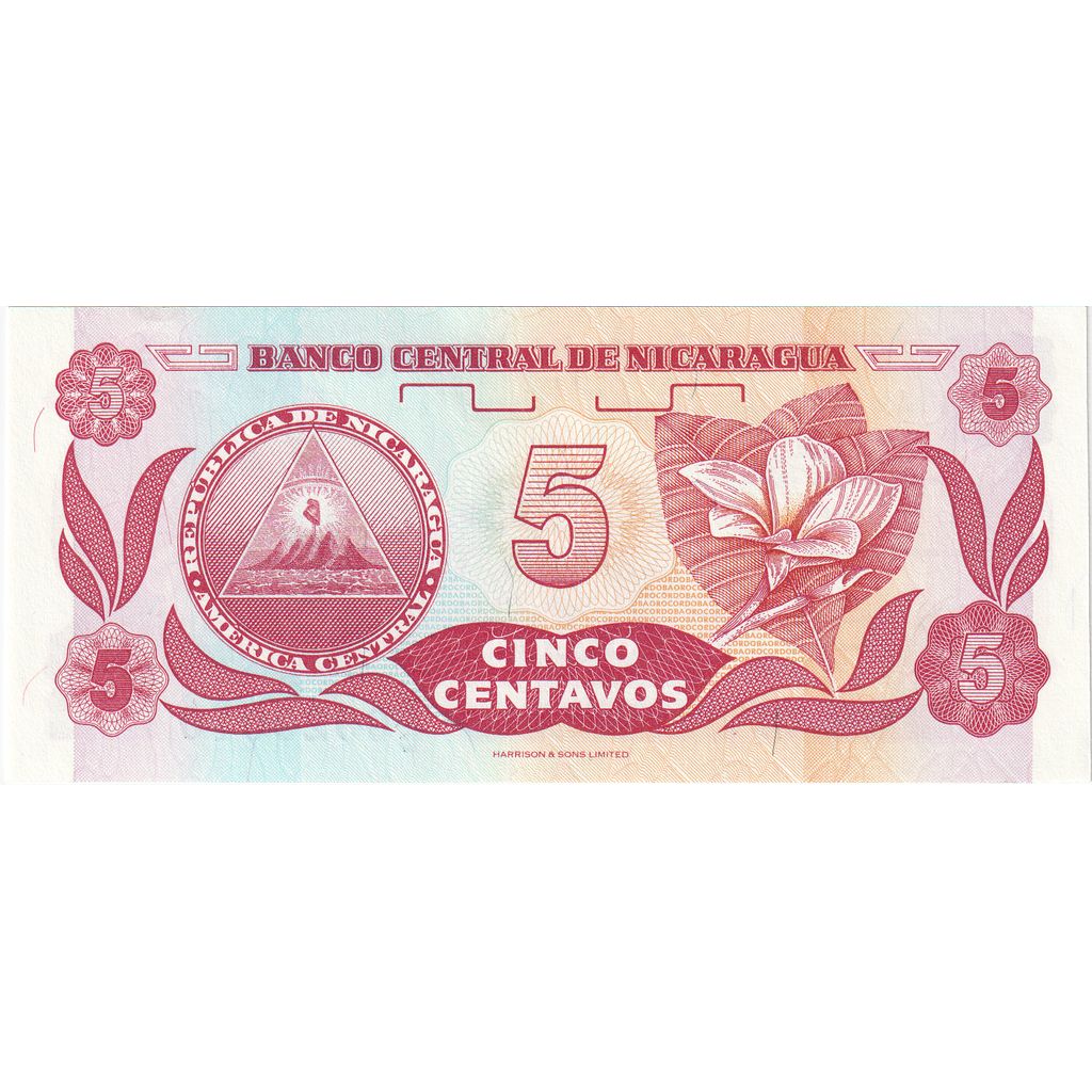 Billete, 5 Centavos, 1991, Nicaragua, SC