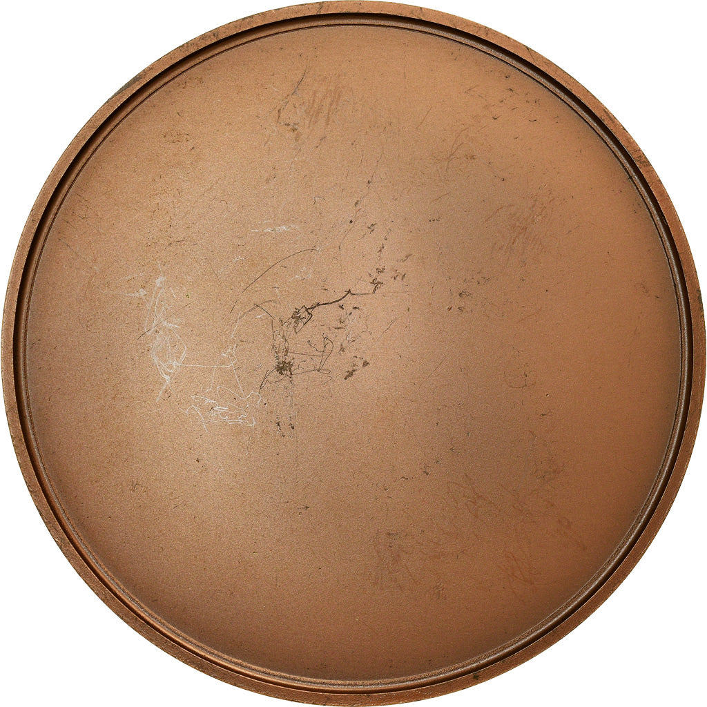 Frankrijk, Medaille, Peinture, Le Déjeuner des Canotiers, Auguste Renoir, 1977