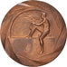 Francia, medalla, Union Sportive de Moissy-Cramayel, 1965, Fraisse, SC, Bronce