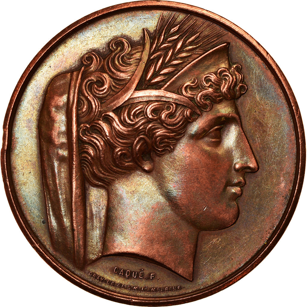 France, Médaille, Société Agricole du Havre, Massonnet, SUP, Cuivre