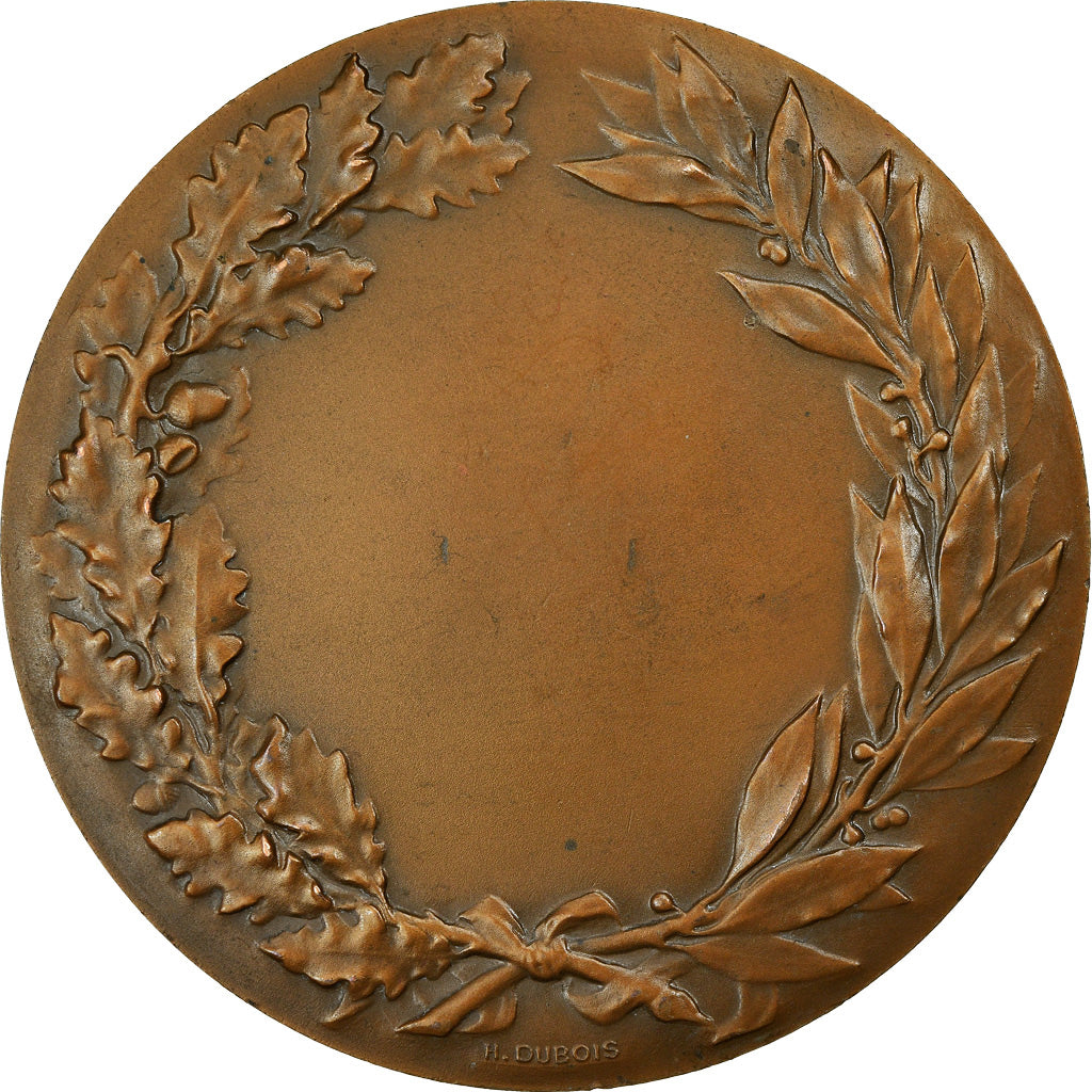 Frankrijk, Medaille, Antibes, Juan-les-Pins, Chateau Grimaldi, Leognany, PR