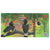 Billete, Dollar, 2018, Brasil, 2018-07, ATLANTIC FOREST 38 DOLLARS, UNC