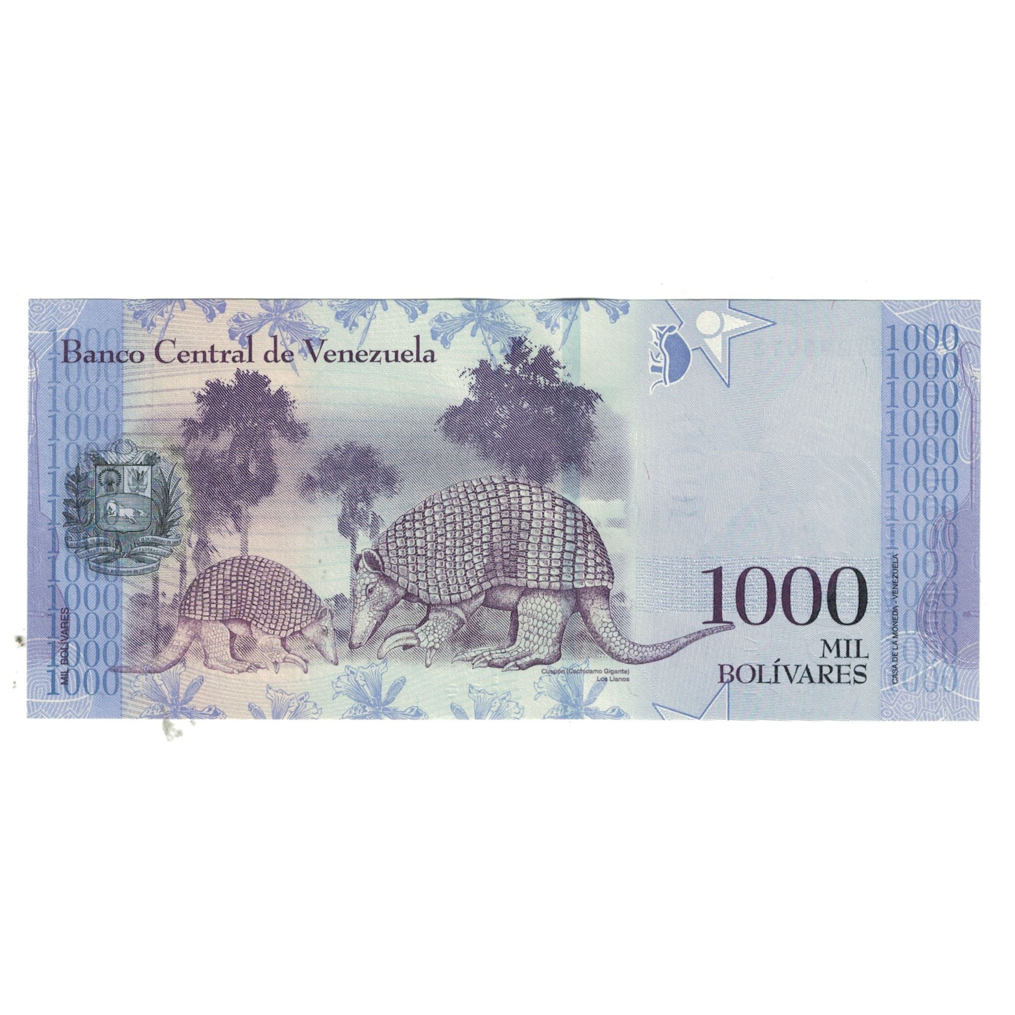 Banknote, Venezuela, 1000 Bolivares, 2017, 2017-03-23, UNC(65-70)