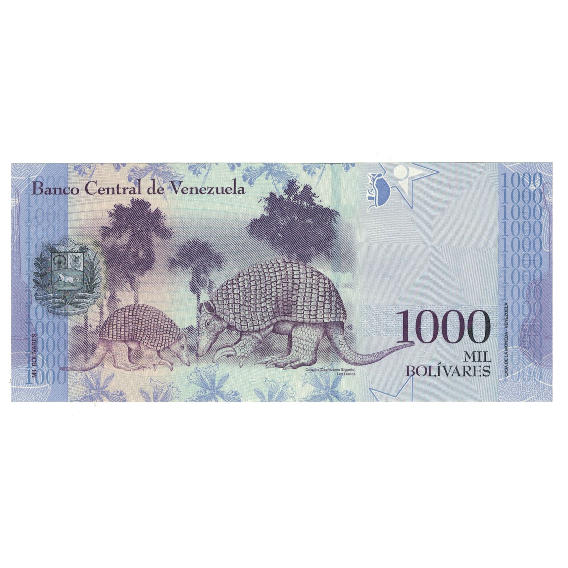 Billete, 1000 Bolivares, 2016, Venezuela, 2016-08-18, UNC