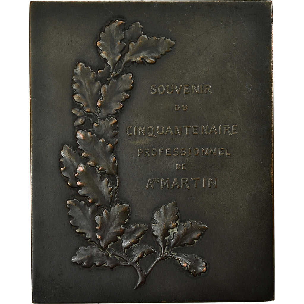 Frankrijk, Medaille, Architecture, Antoine Martin, Cinquantenaire Professionnel