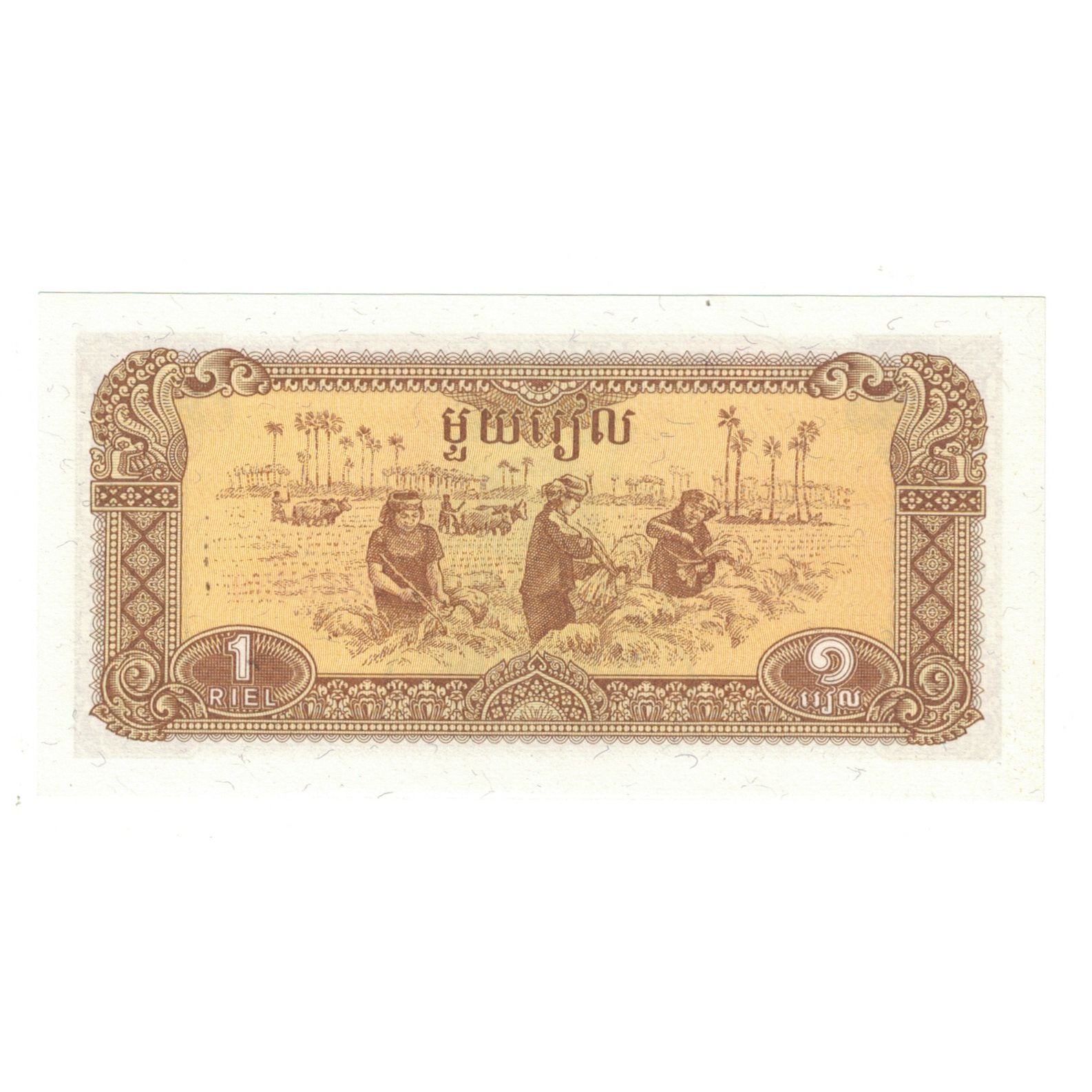 Billete, 1 Riel, 1979, Camboya, KM:28a, UNC