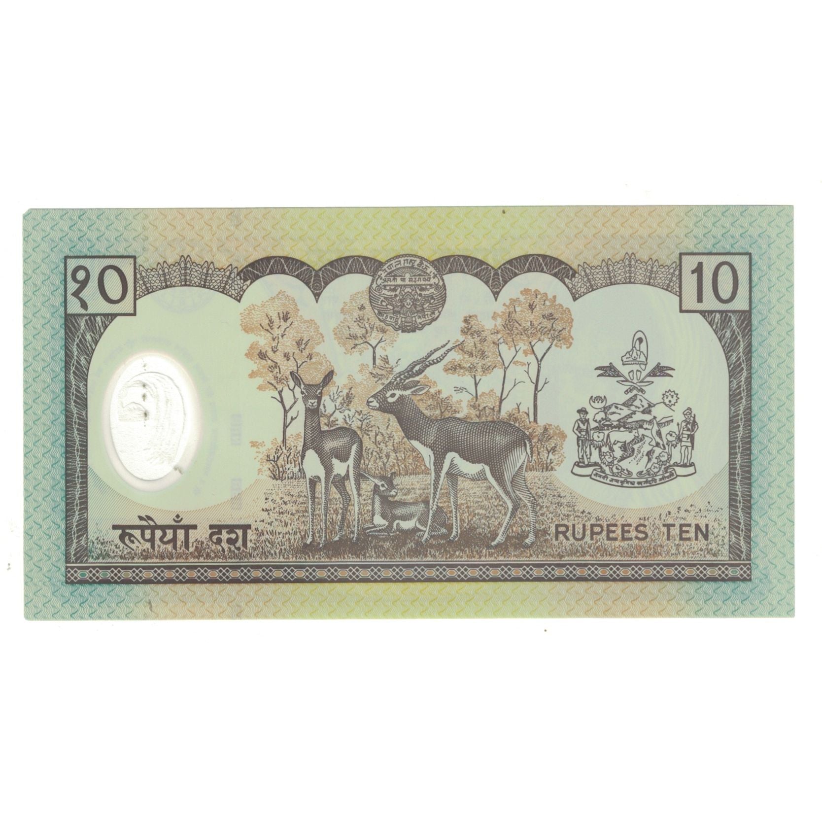 Banconote, Nepal, 10 Rupees, KM:45, SPL
