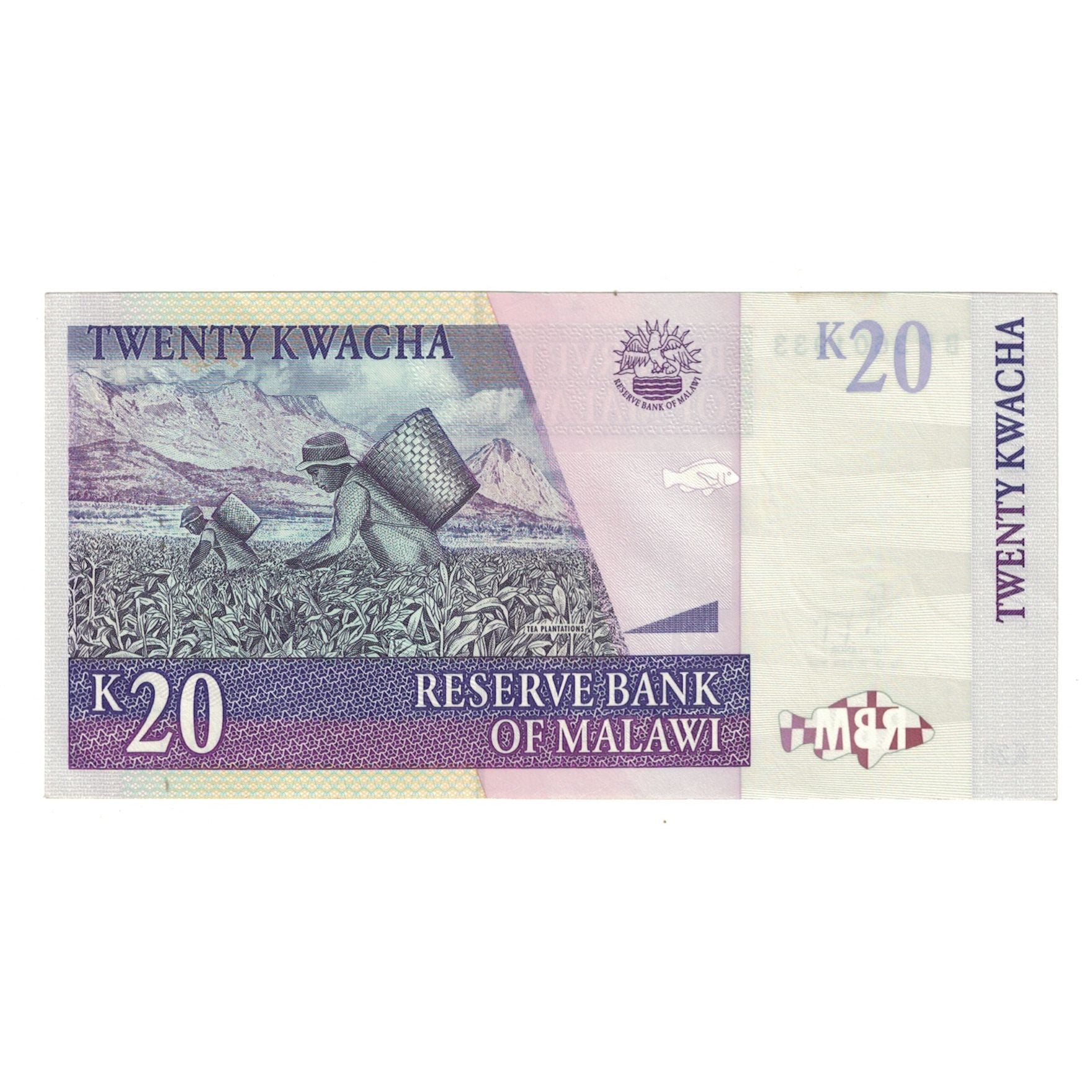 Banconote, Malawi, 20 Kwacha, 2009, 2009-10-31, KM:52e, SPL-