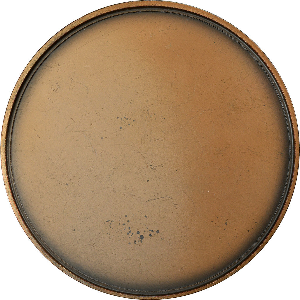 França, Medal, Révolution Française, Siège de la Bastille, História, 1983