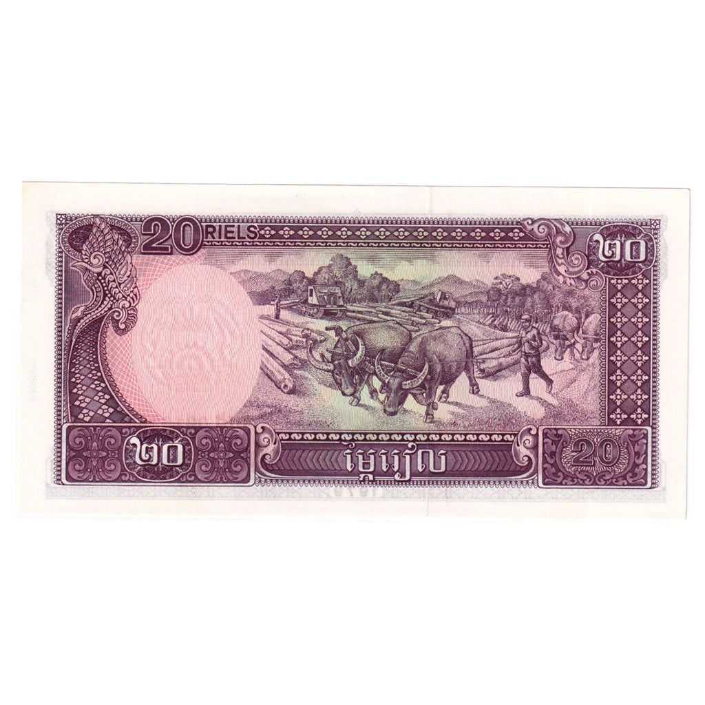 Banknote, Cambodia, 20 Riels, 1979, Undated, KM:31a, UNC(65-70)