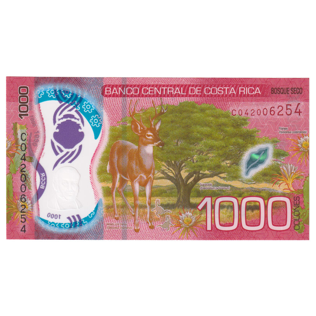 Billet, Costa Rica, 1000 Colones, 2019, 2019-09-20, KM:274, NEUF