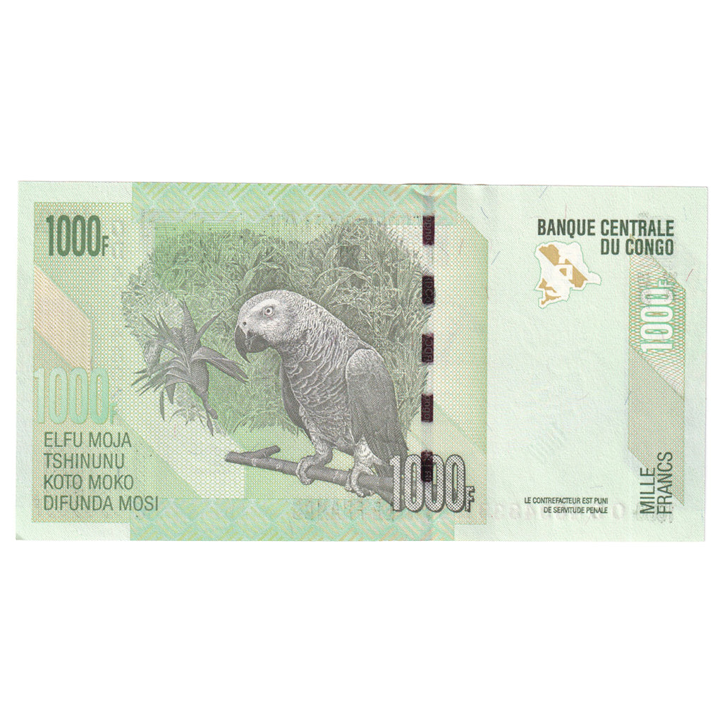 Nota, República Democrática do Congo, 1000 Francs, 2013, 2013-06-30, KM:101b