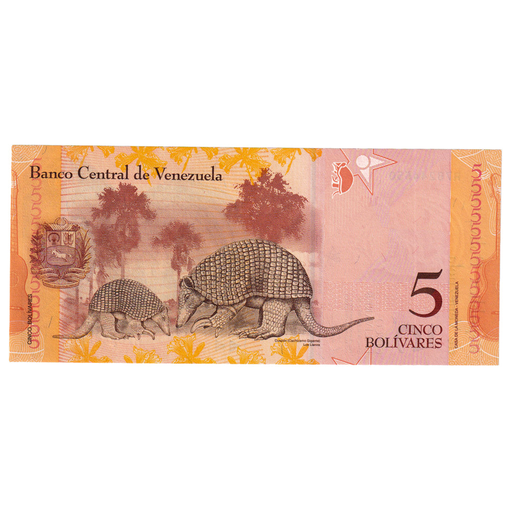 Banknote, Venezuela, 5 Bolivares, 2013, 2013-10-29, KM:89a, UNC(65-70)