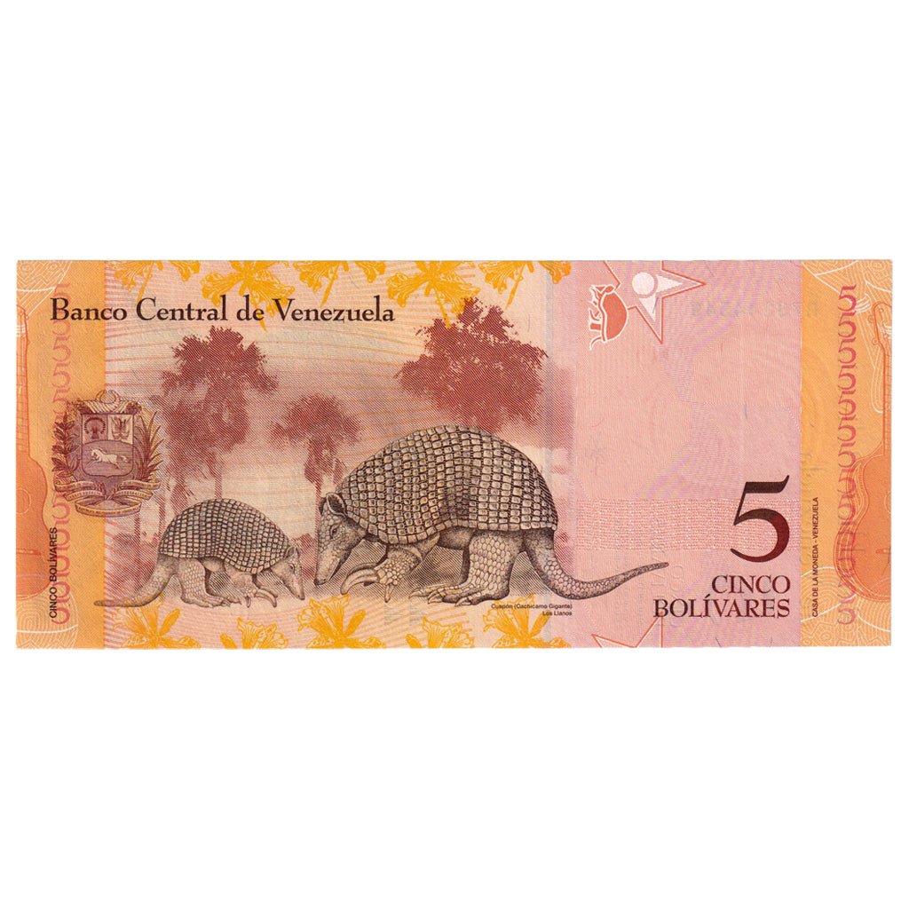 Banknote, Venezuela, 5 Bolivares, 2013, 2013-10-29, KM:89a, UNC(65-70)