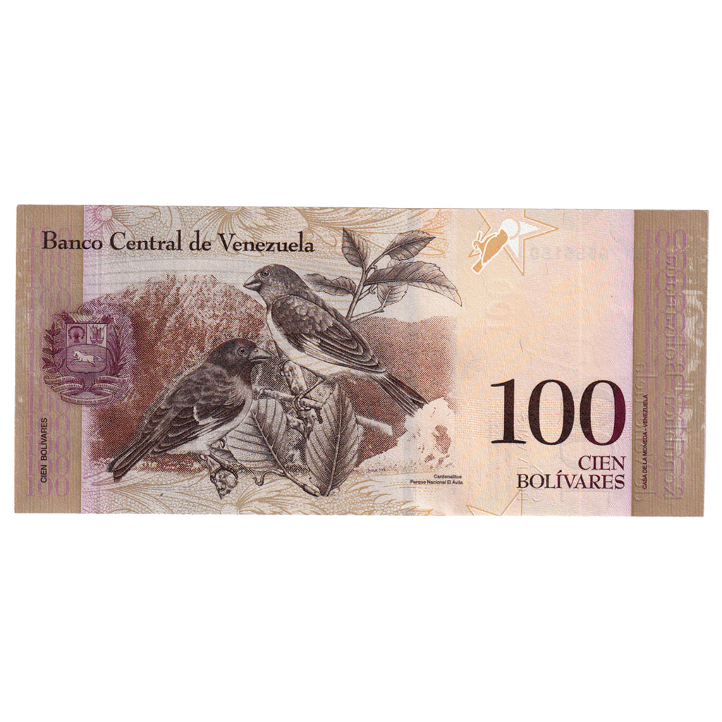 Banknote, Venezuela, 100 Bolivares, 2013, 2013-10-29, KM:93a, UNC(65-70)