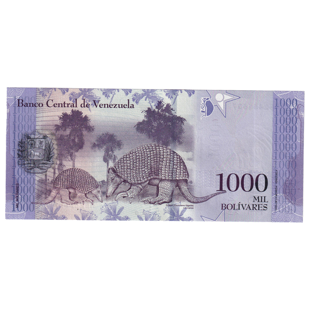 Banknote, Venezuela, 1000 Bolivares, 2017, 2017-03-23, UNC(65-70)