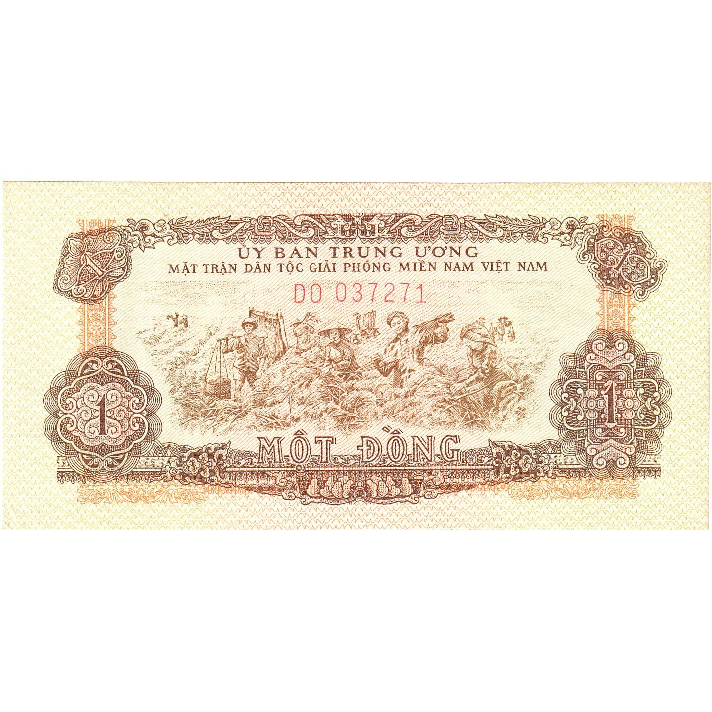 Vietnam, 1 Dông, FDS