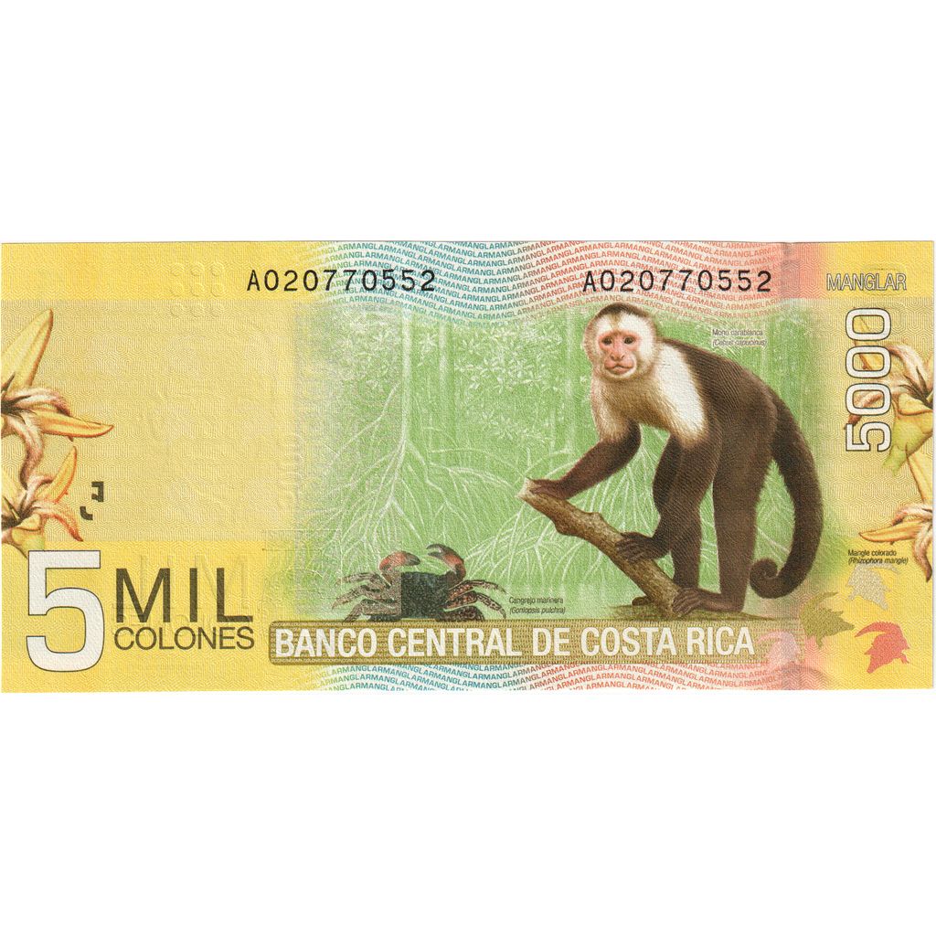 Costa Rica, 5000 Colones, 2009, 2009-09-02, KM:276, UNC(65-70)